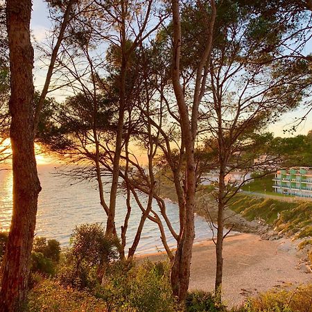 Mediterranean Way - El Mirador 살루 외부 사진
